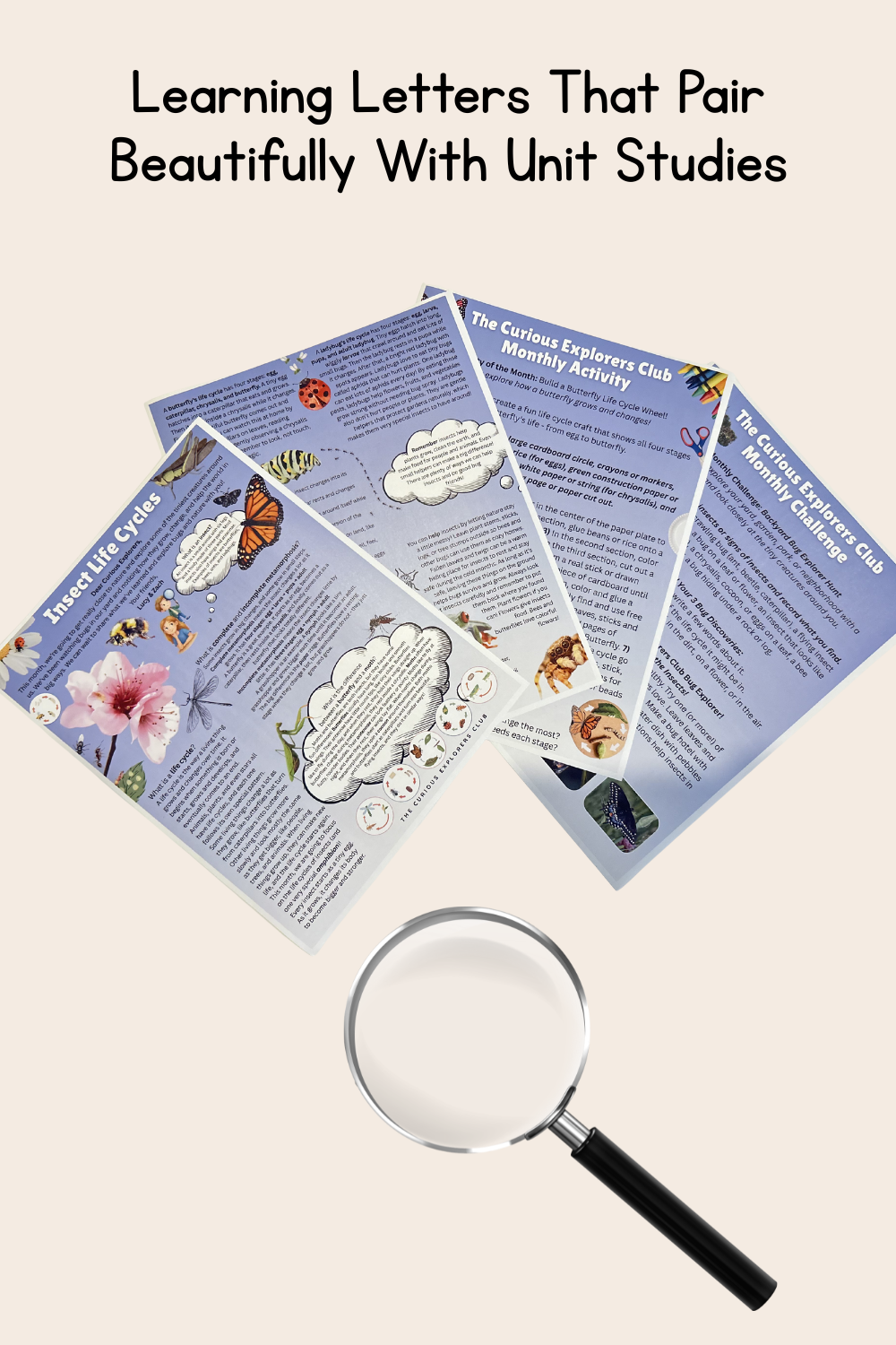 Insect Life Cycles Letter | The Curious Explorers Club | Physical Mail Edition