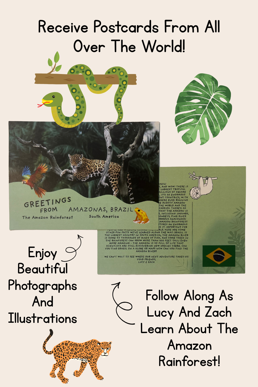 Postcards | Amazonas, Brazil - The Amazon Rainforest | Physical Mail Edition