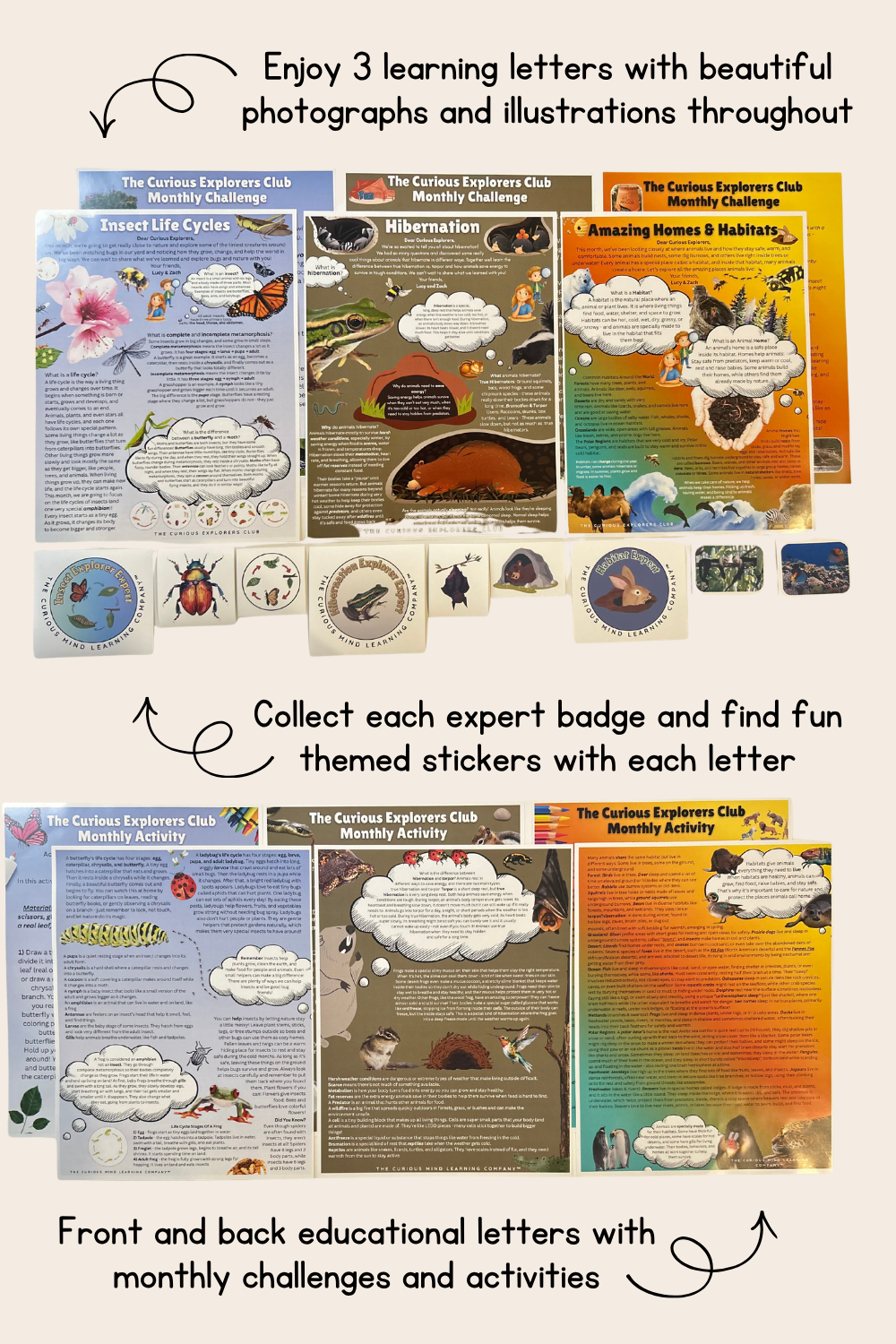 3 Pack Letter Bundle | Insect Life cycles, Hibernation & Habitats | Physical Mail Edition