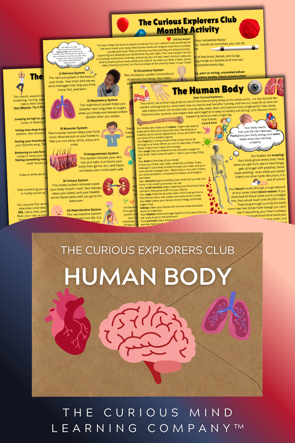 Human Body Letter | The Curious Explorers Club | Physical Mail Edition