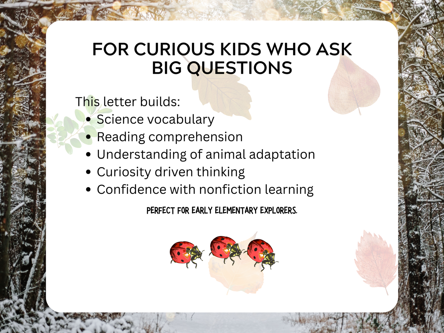 Hibernation Letter | Digital Download