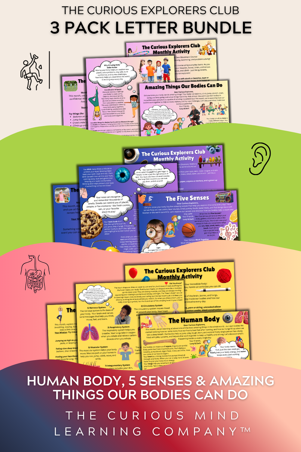 3 Pack Letter Bundle | The Human Body, The Five Senses, & Amazing Bodies | Physical Mail Edition