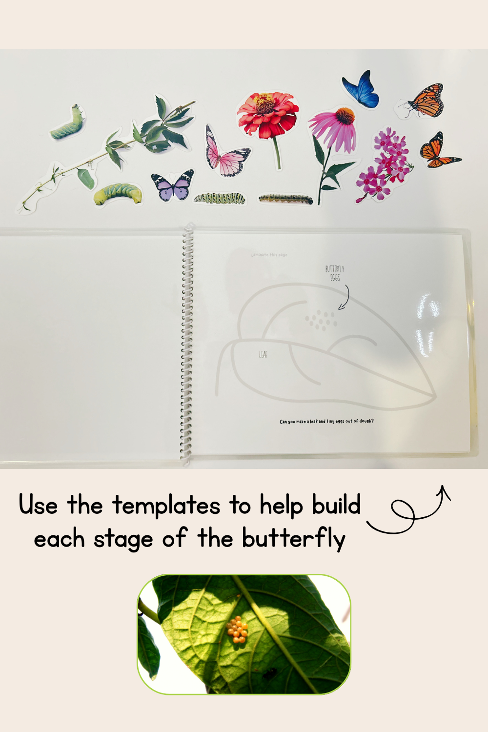 Butterfly Life Cycle Play Dough Book | Printable Hands-On Learning Activity