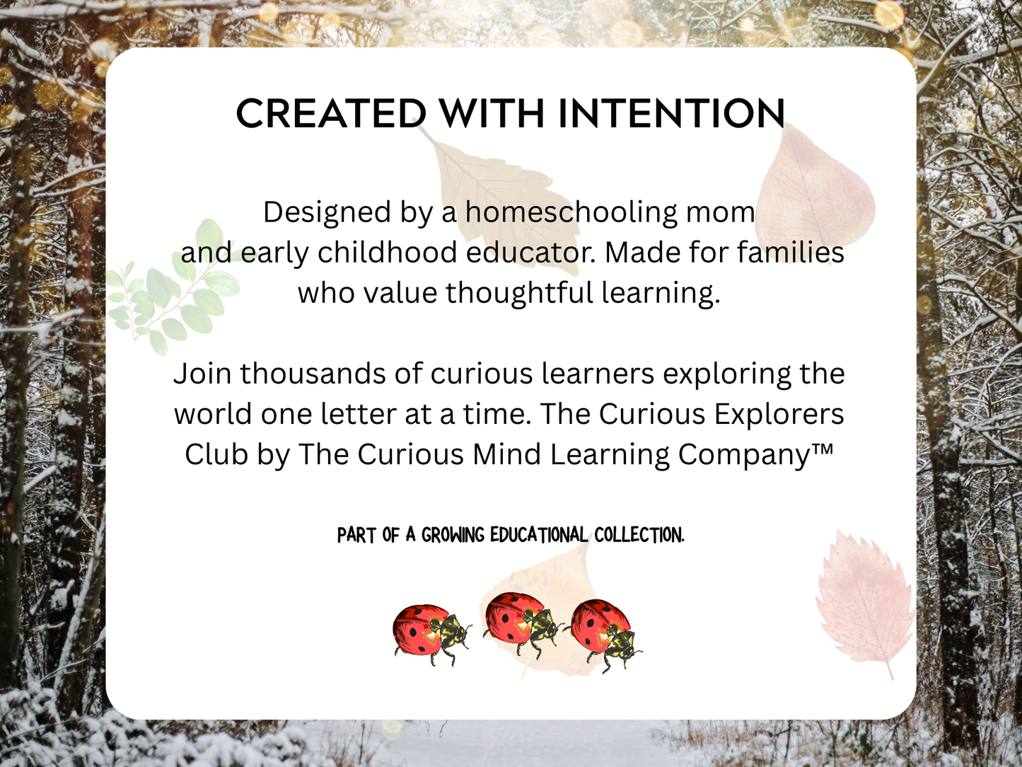 Hibernation Letter | Digital Download