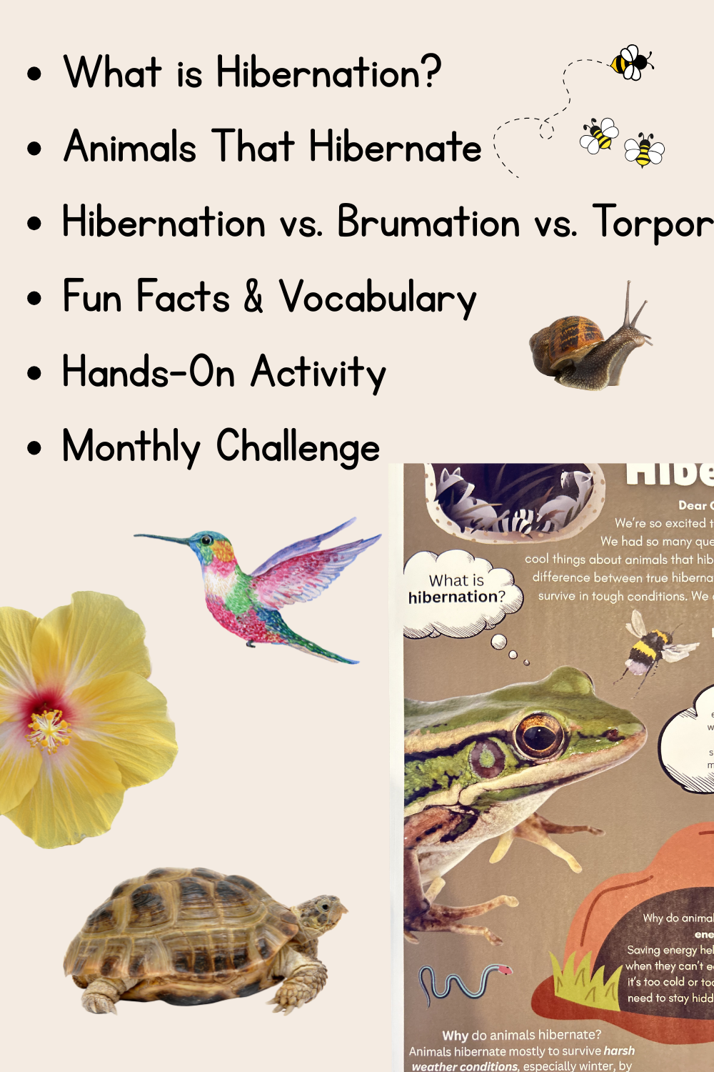 Hibernation Letter | The Curious Explorers Club | Physical Mail Edition