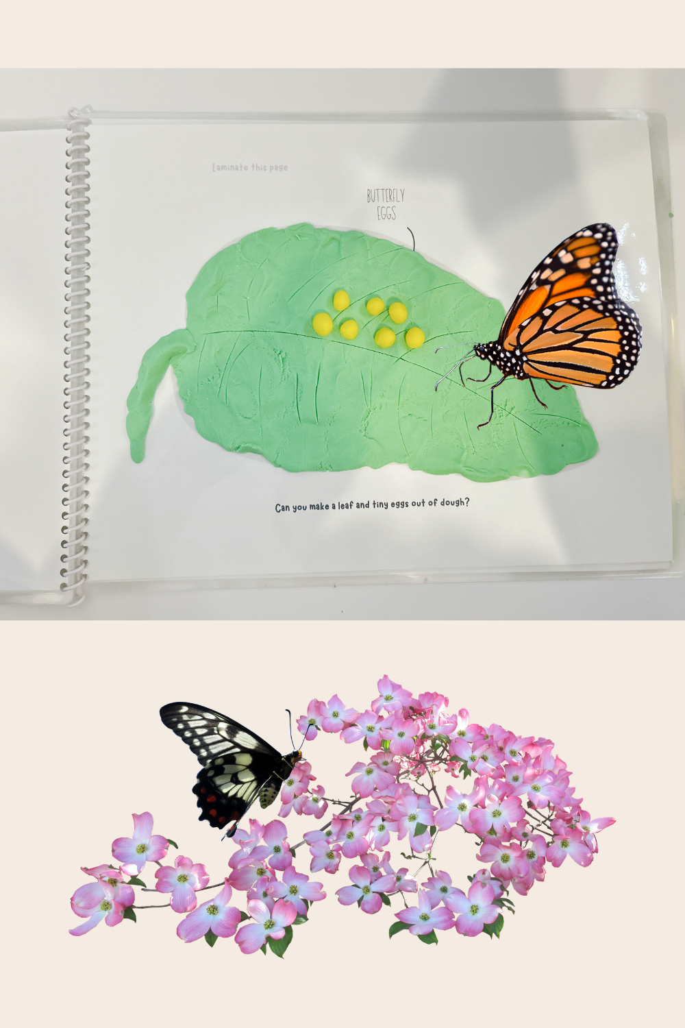 Butterfly Life Cycle Play Dough Book | Printable Hands-On Learning Activity