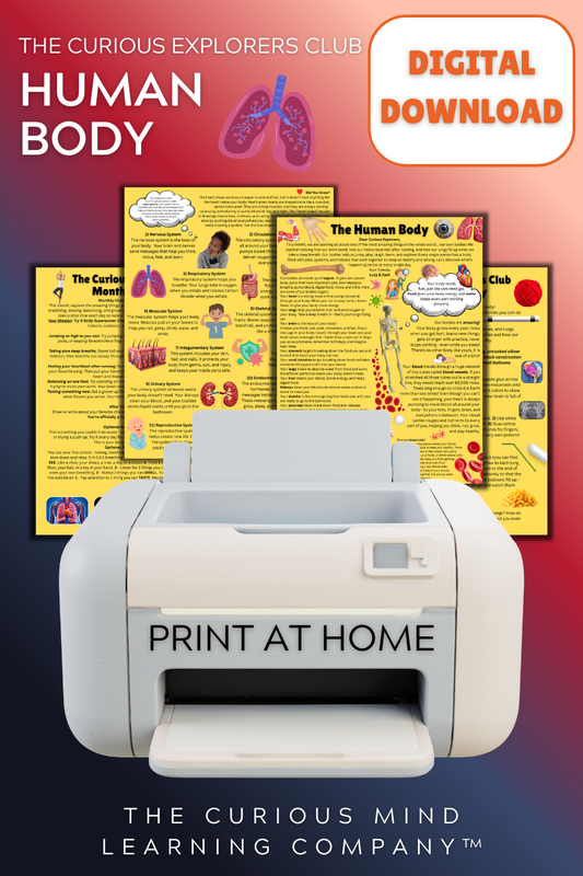 The Human Body Letter | Digital Download