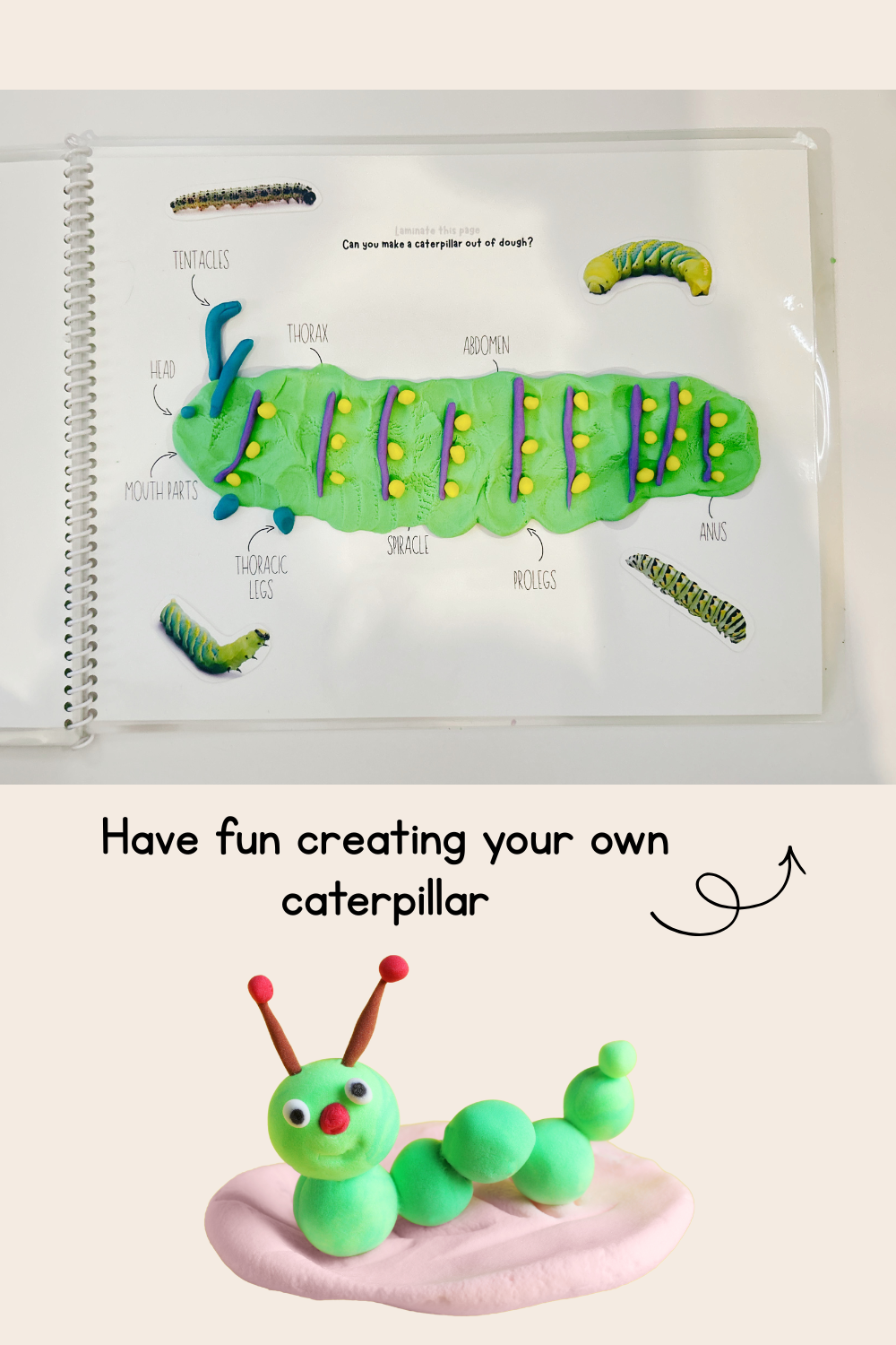 Butterfly Life Cycle Play Dough Book | Printable Hands-On Learning Activity