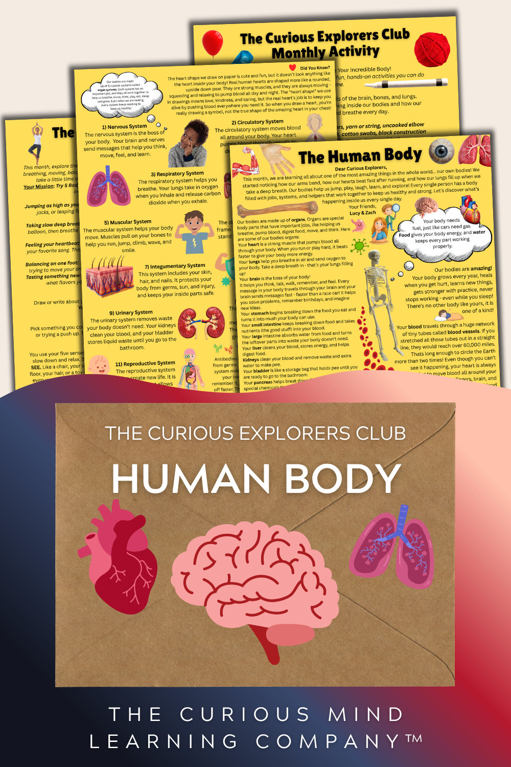 Human Body Letter | The Curious Explorers Club | Physical Mail Edition