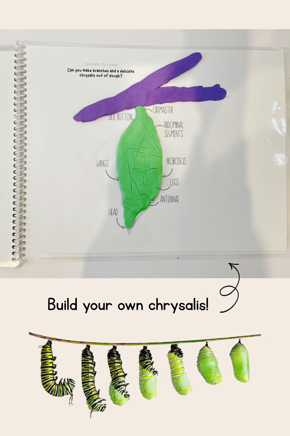 Butterfly Life Cycle Play Dough Book | Printable Hands-On Learning Activity