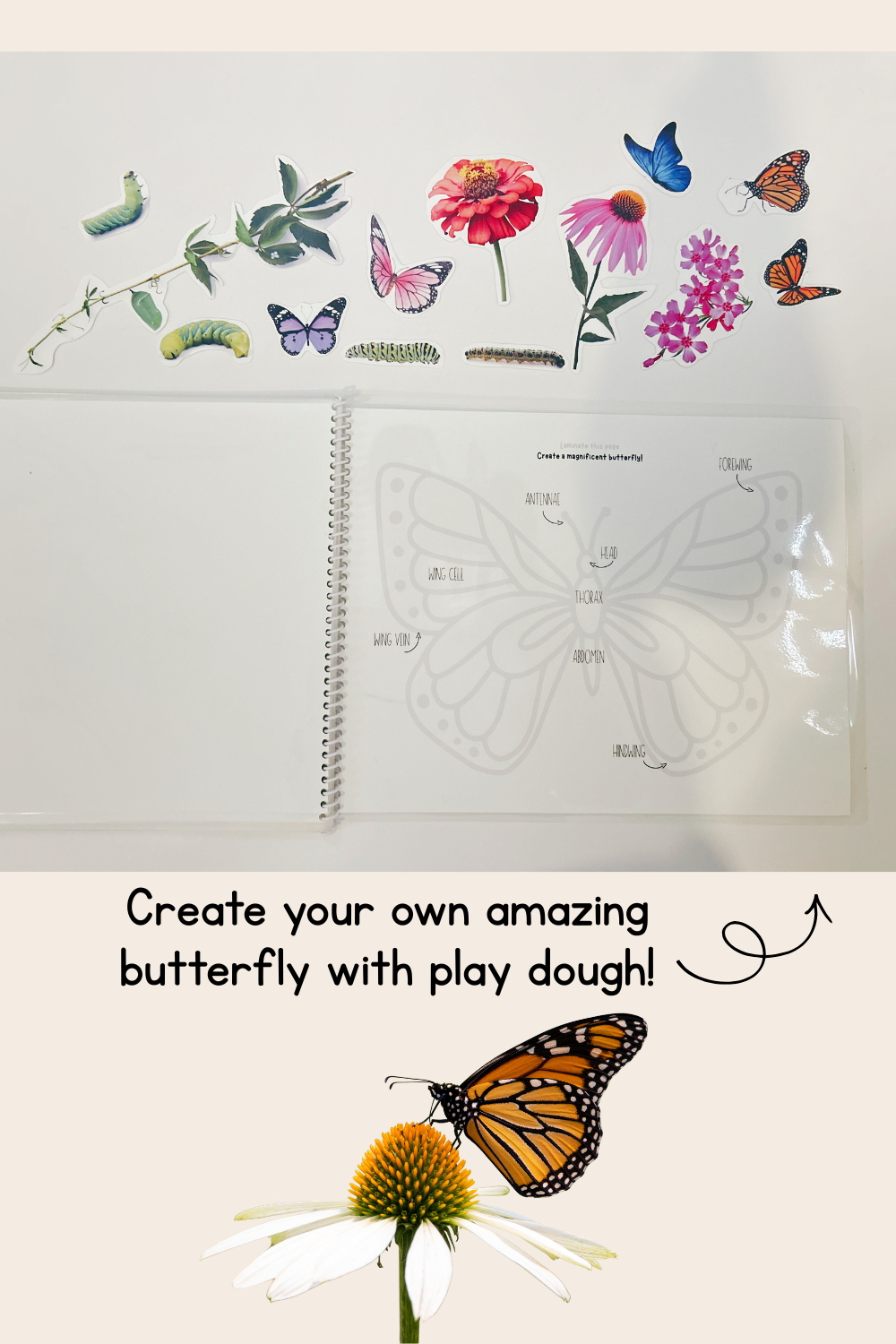 Butterfly Life Cycle Play Dough Book | Printable Hands-On Learning Activity