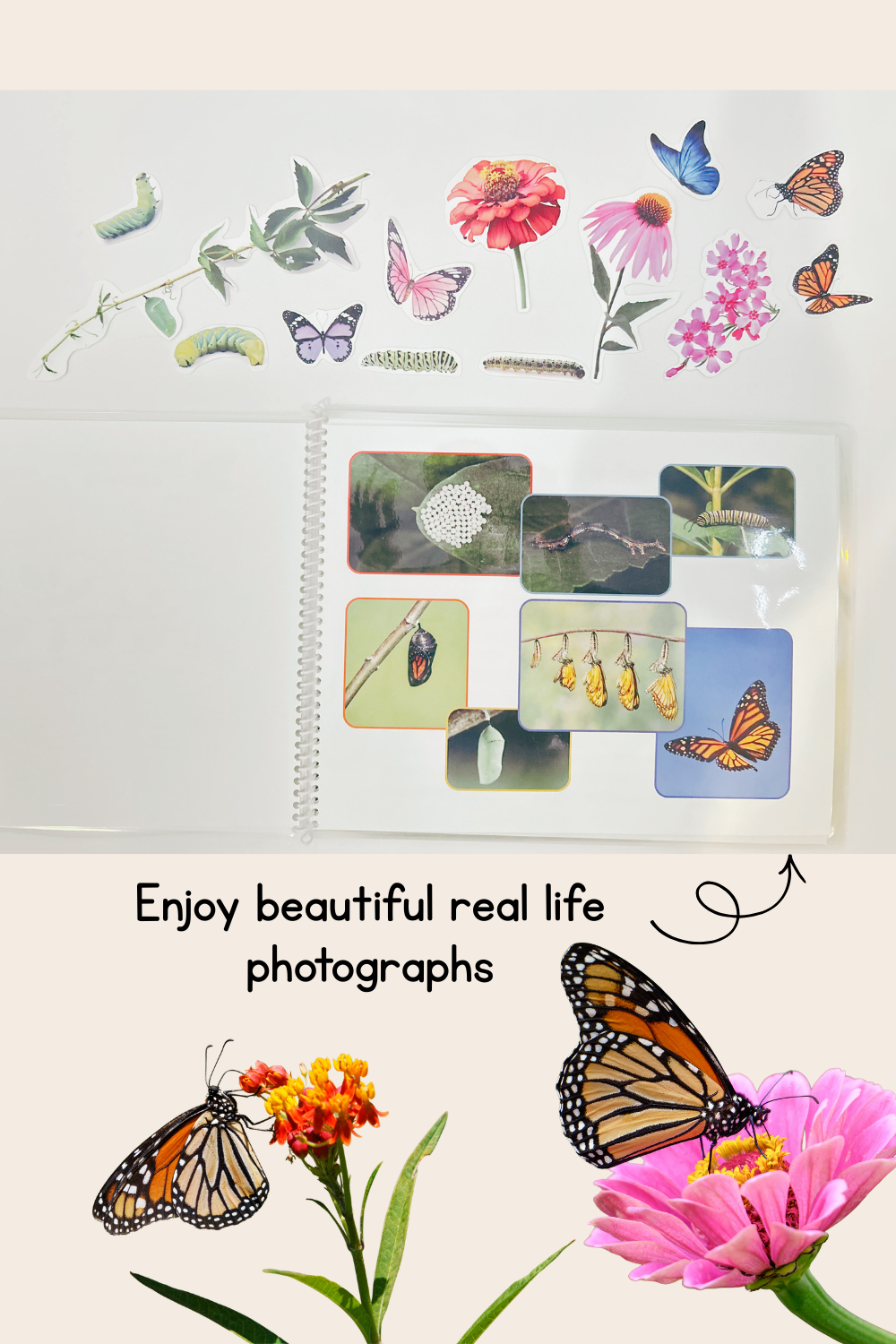 Butterfly Life Cycle Play Dough Book | Printable Hands-On Learning Activity