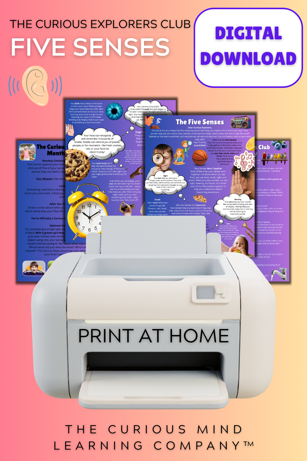 The Five Senses Letter | Digital Download