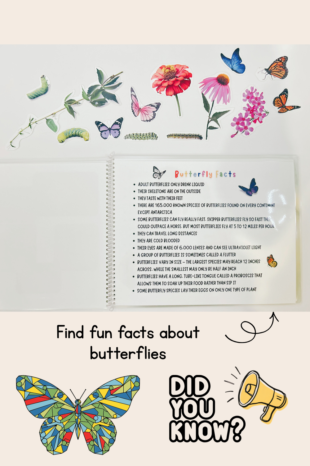 Butterfly Life Cycle Play Dough Book | Printable Hands-On Learning Activity