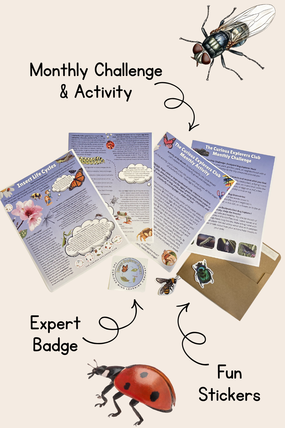 Insect Life Cycles Letter | The Curious Explorers Club | Physical Mail Edition