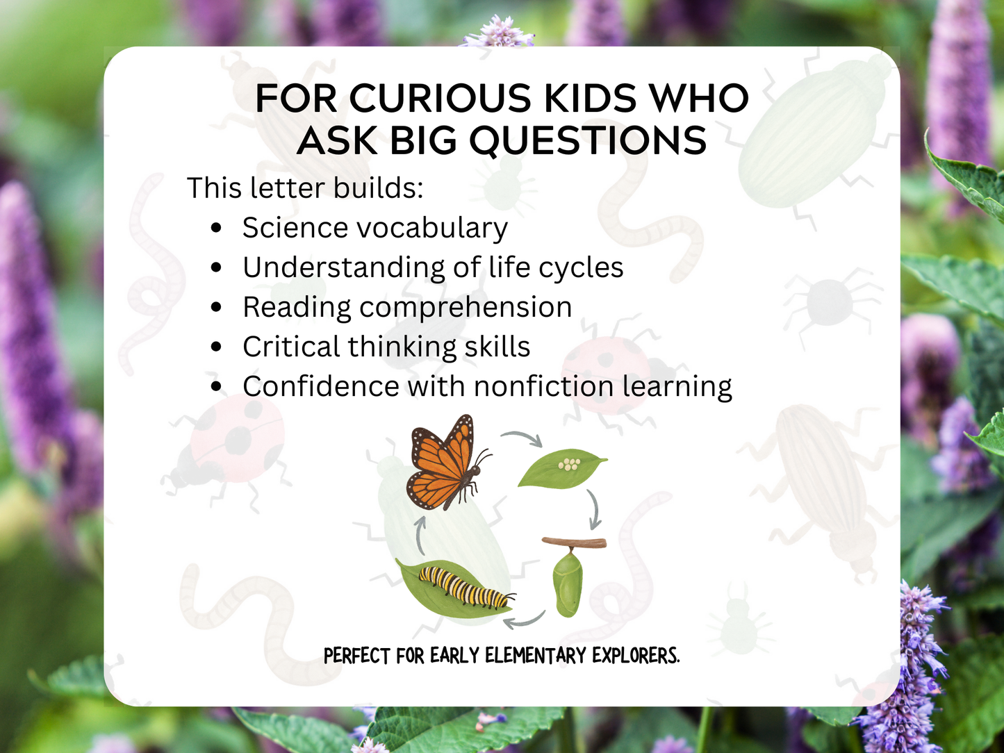 Insect Life Cycles Letter | Digital Download