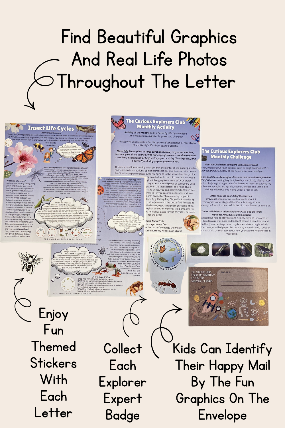 Insect Life Cycles Letter | The Curious Explorers Club | Physical Mail Edition