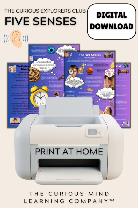 The Five Senses Letter | Digital Download