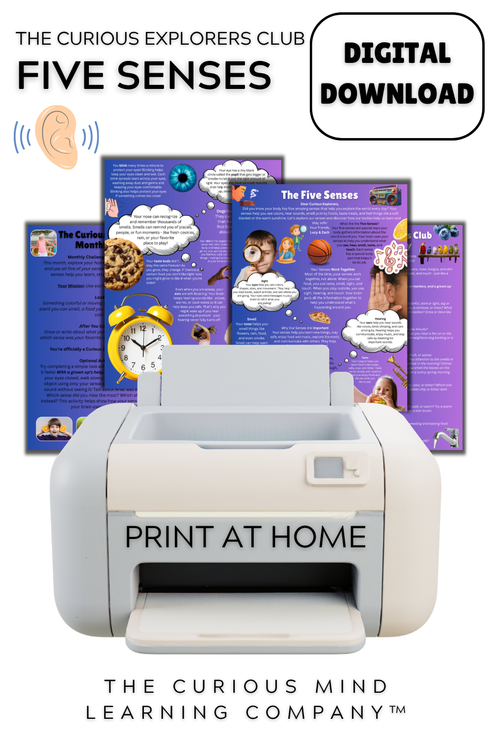 The Five Senses Letter | Digital Download