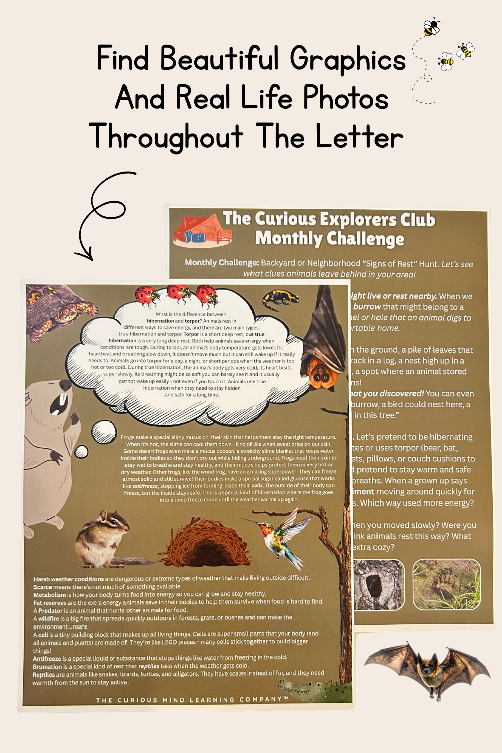 Hibernation Letter | The Curious Explorers Club | Physical Mail Edition