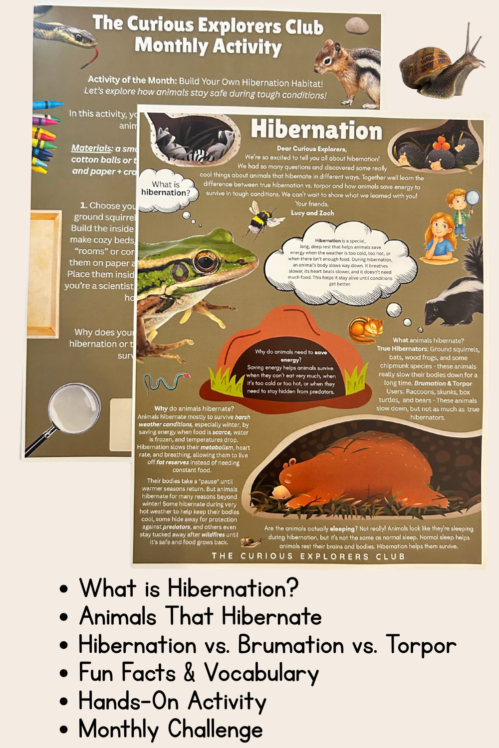 Hibernation Letter | The Curious Explorers Club | Physical Mail Edition