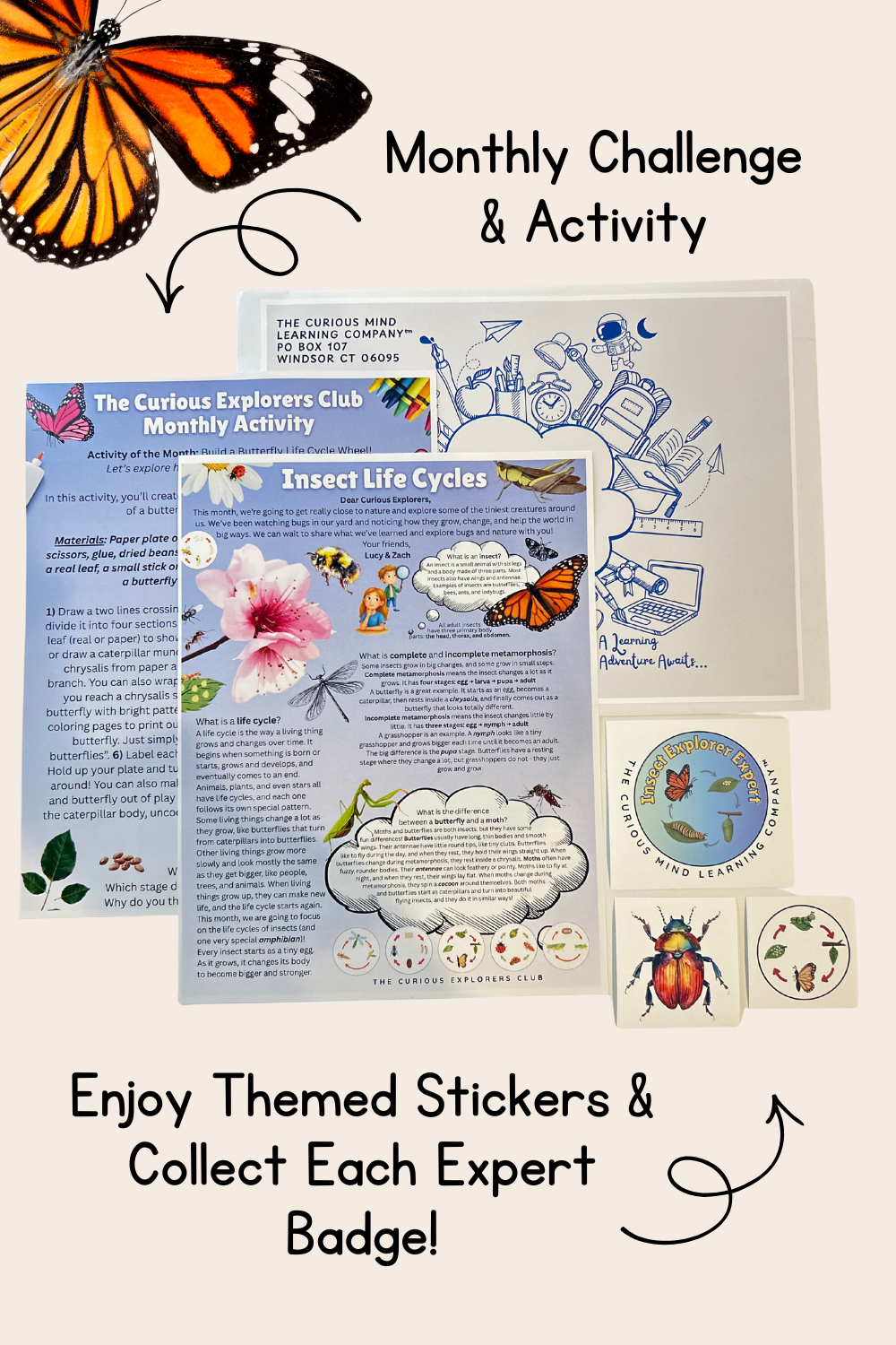 Insect Life Cycles Letter | The Curious Explorers Club | Physical Mail Edition