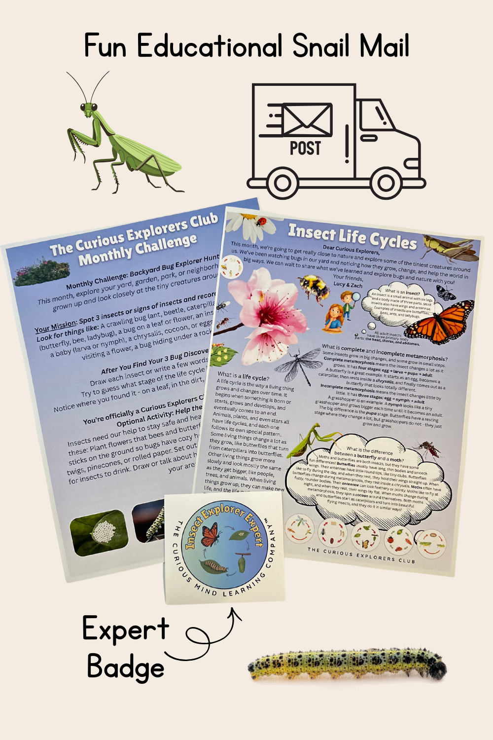 Insect Life Cycles Letter | The Curious Explorers Club | Physical Mail Edition
