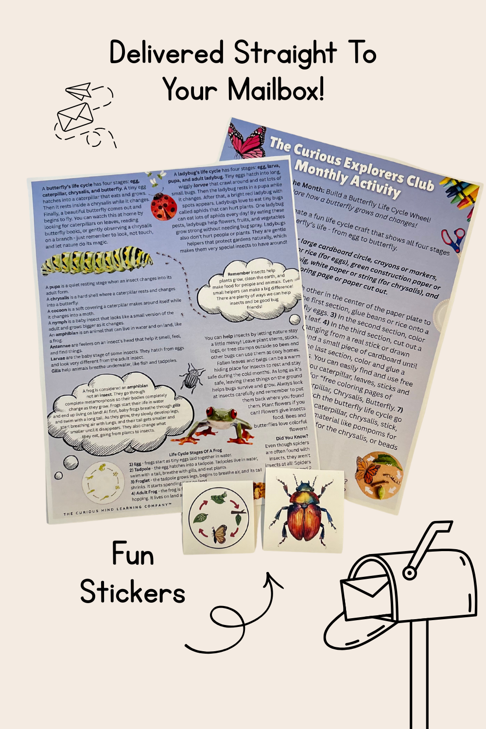 Insect Life Cycles Letter | The Curious Explorers Club | Physical Mail Edition