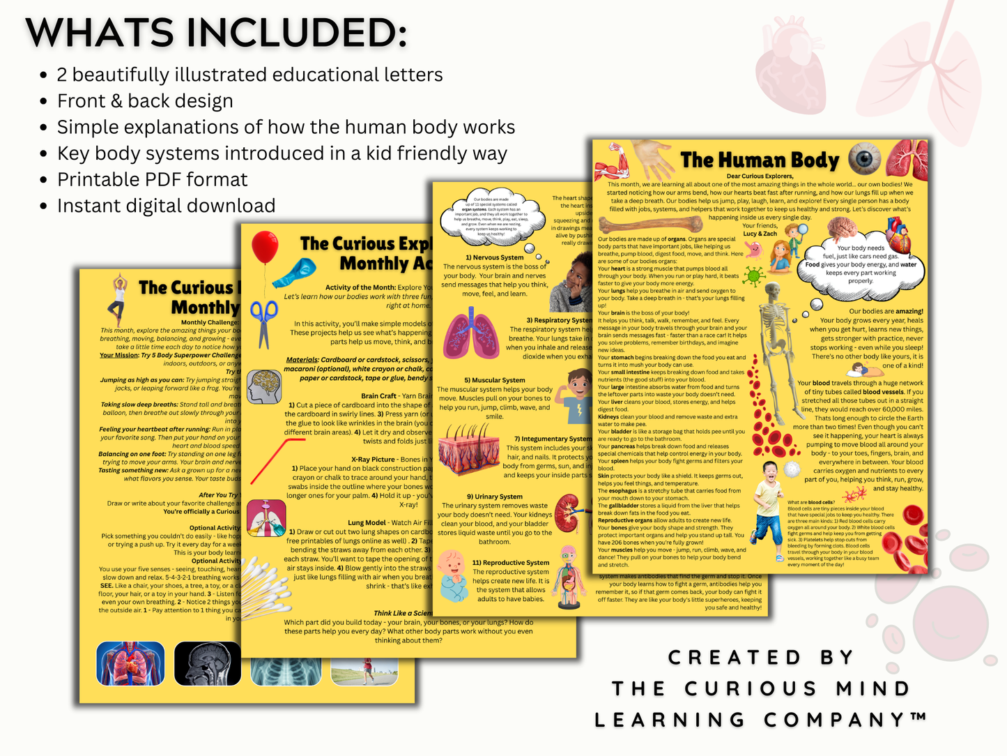 The Human Body Letter | Digital Download