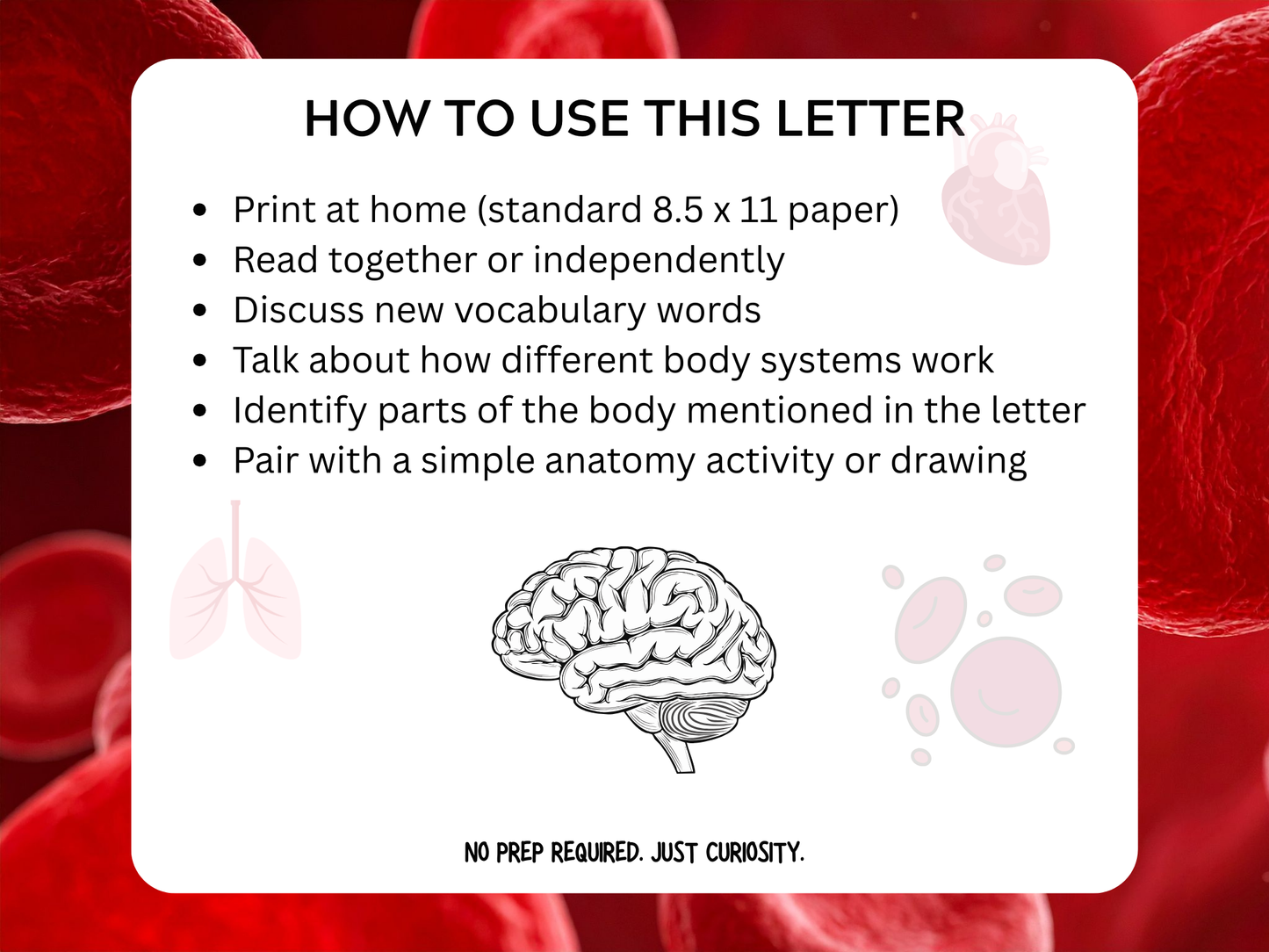 The Human Body Letter | Digital Download