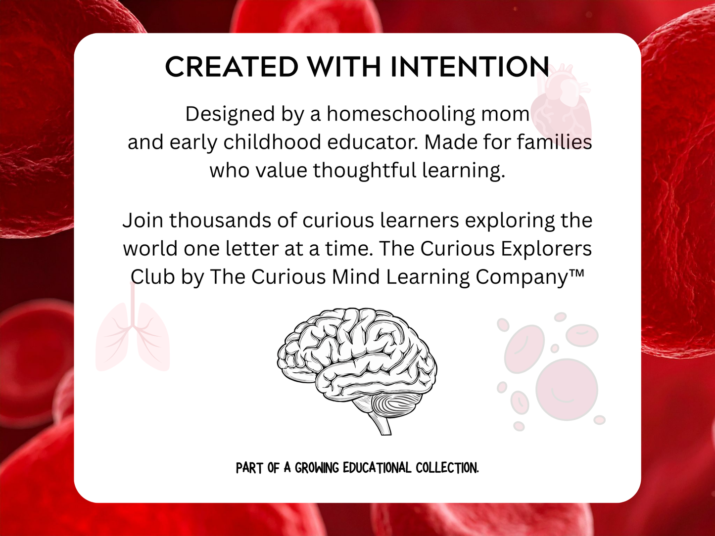 The Human Body Letter | Digital Download