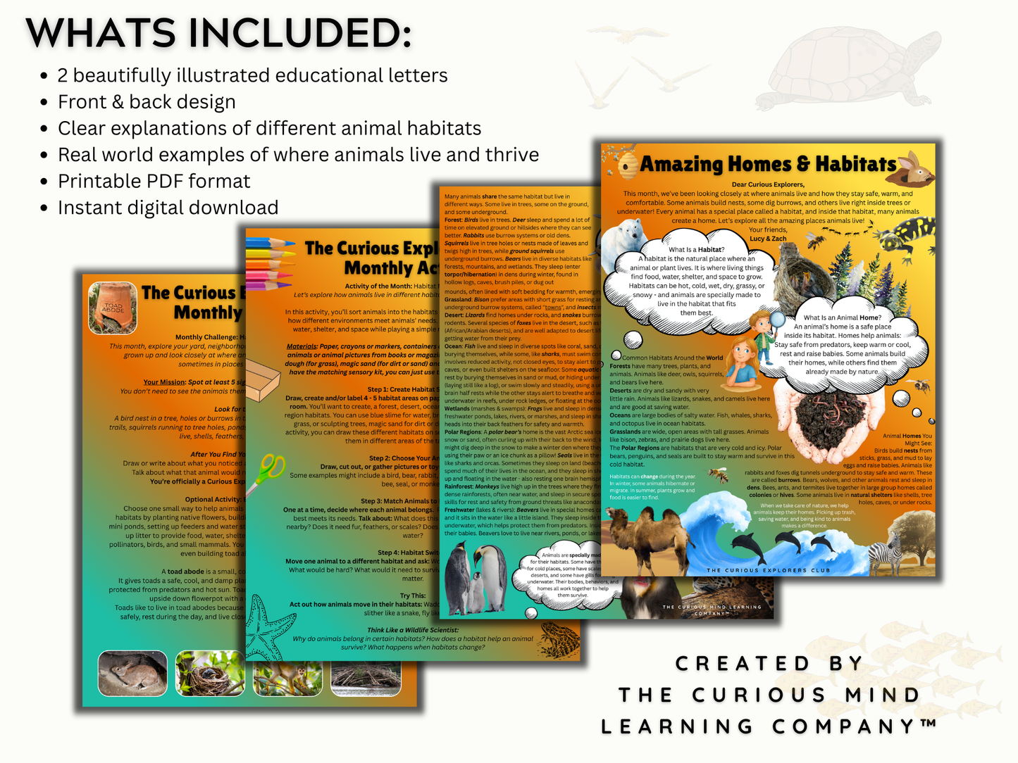 Amazing Habitats Letter | Digital Download