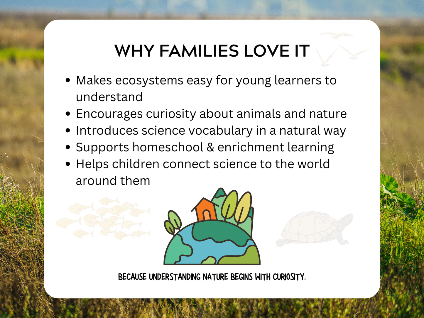 Amazing Habitats Letter | Digital Download