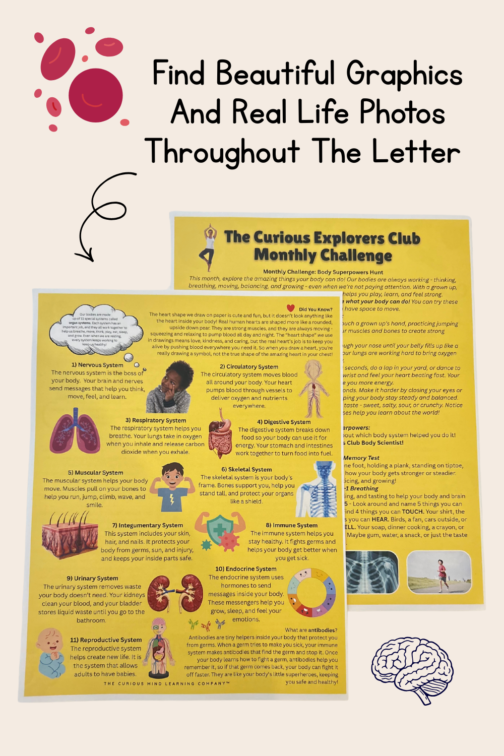 Human Body Letter | The Curious Explorers Club | Physical Mail Edition