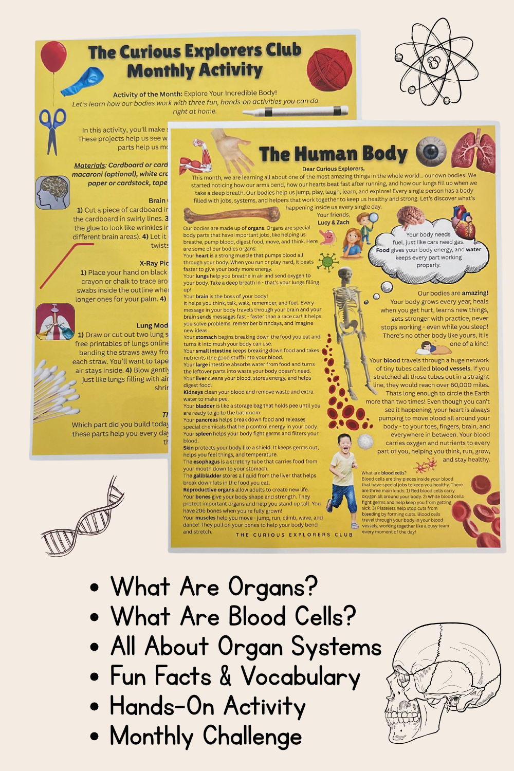 Human Body Letter | The Curious Explorers Club | Physical Mail Edition