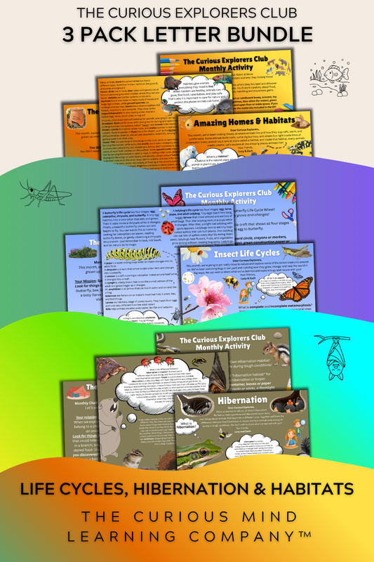 3 Pack Letter Bundle | Insect Life cycles, Hibernation & Habitats | Physical Mail Edition