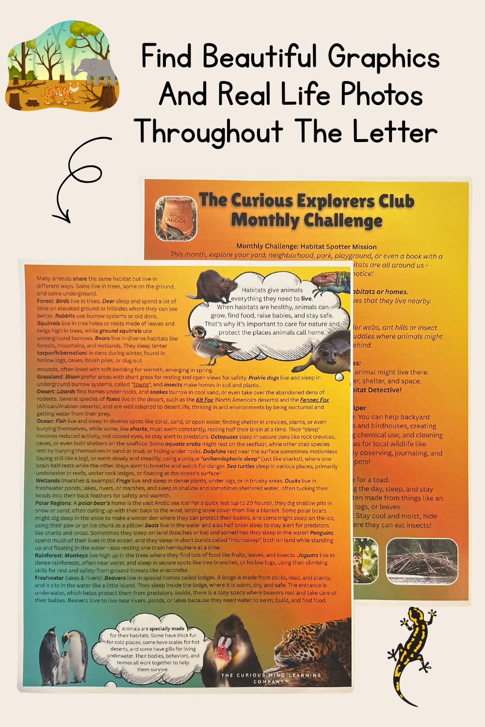 Amazing Habitats Letter | The Curious Explorers Club | Physical Mail Edition
