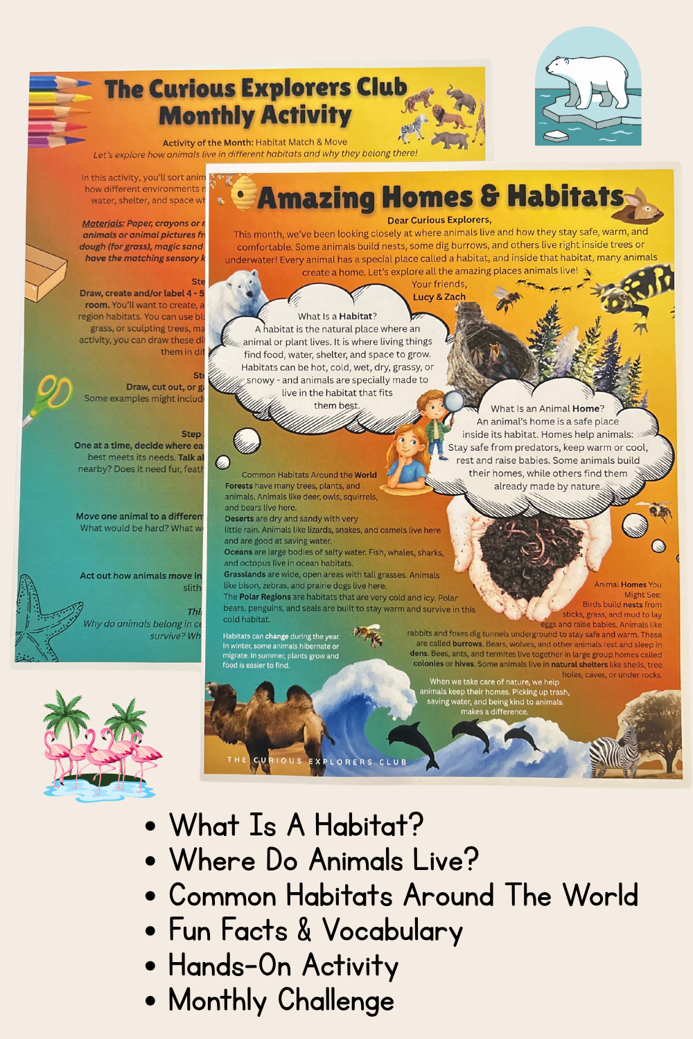 Amazing Habitats Letter | The Curious Explorers Club | Physical Mail Edition