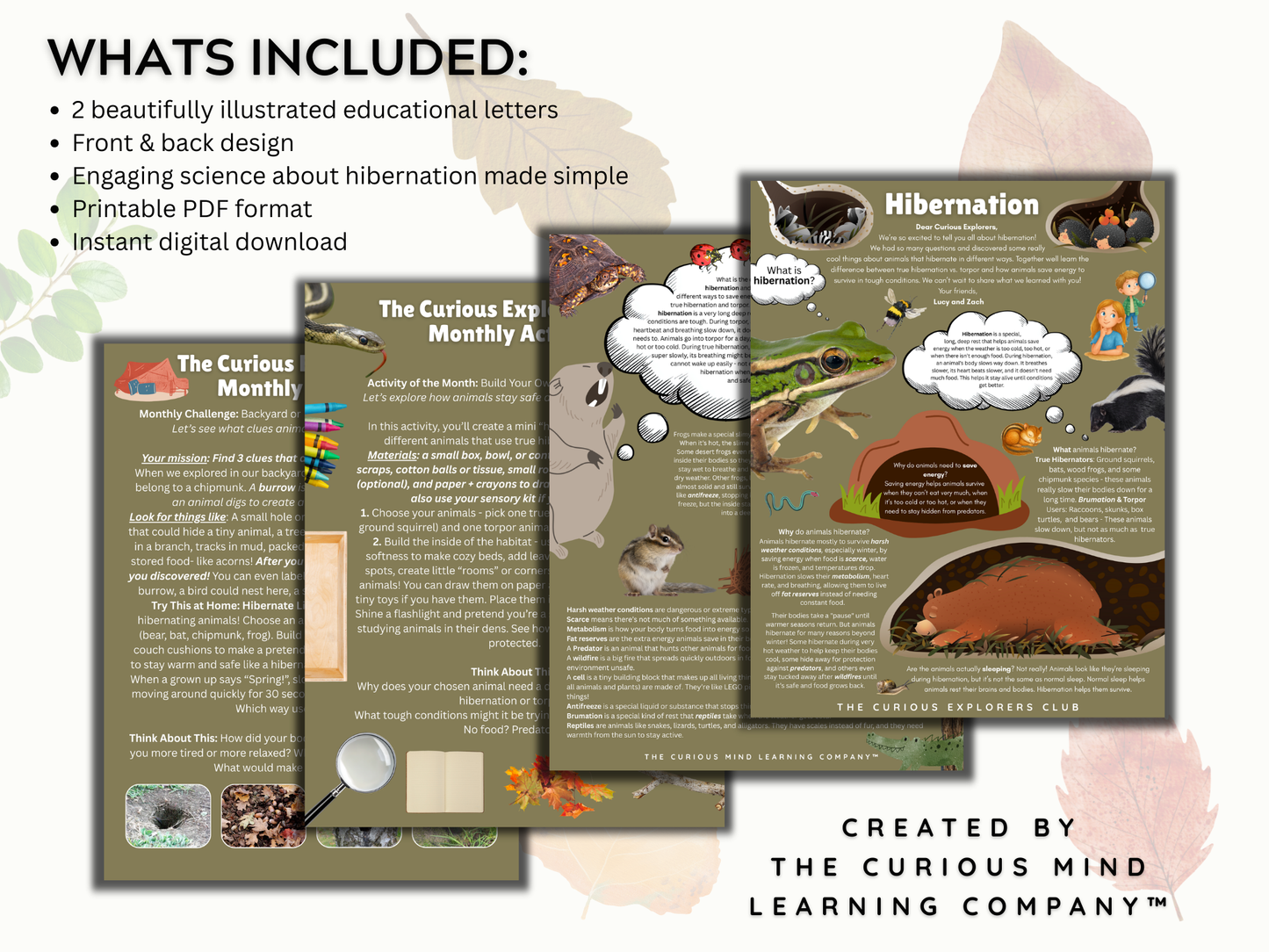 Hibernation Letter | Digital Download