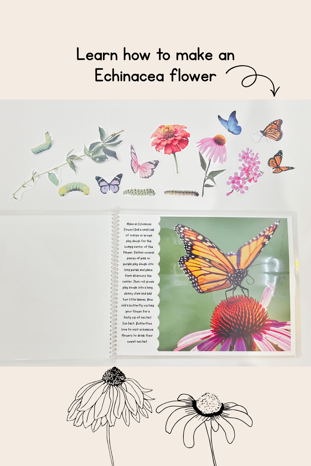 Butterfly Life Cycle Play Dough Book | Printable Hands-On Learning Activity
