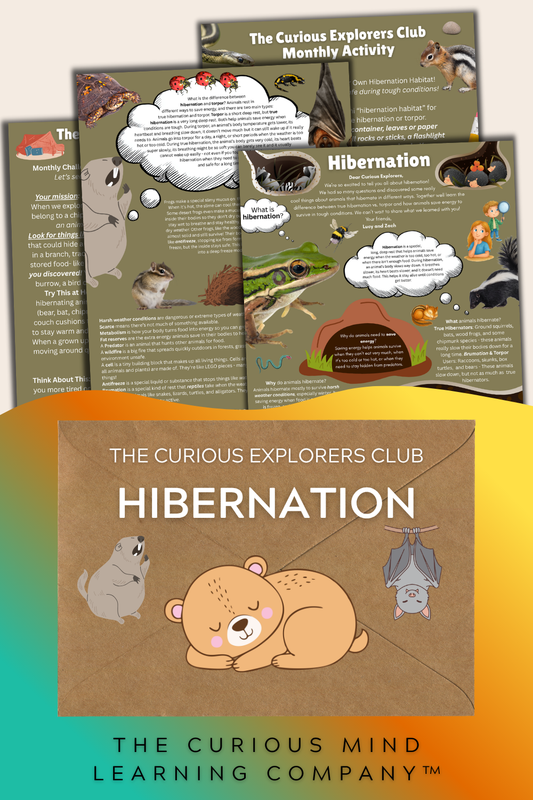 Hibernation Letter | The Curious Explorers Club | Physical Mail Edition
