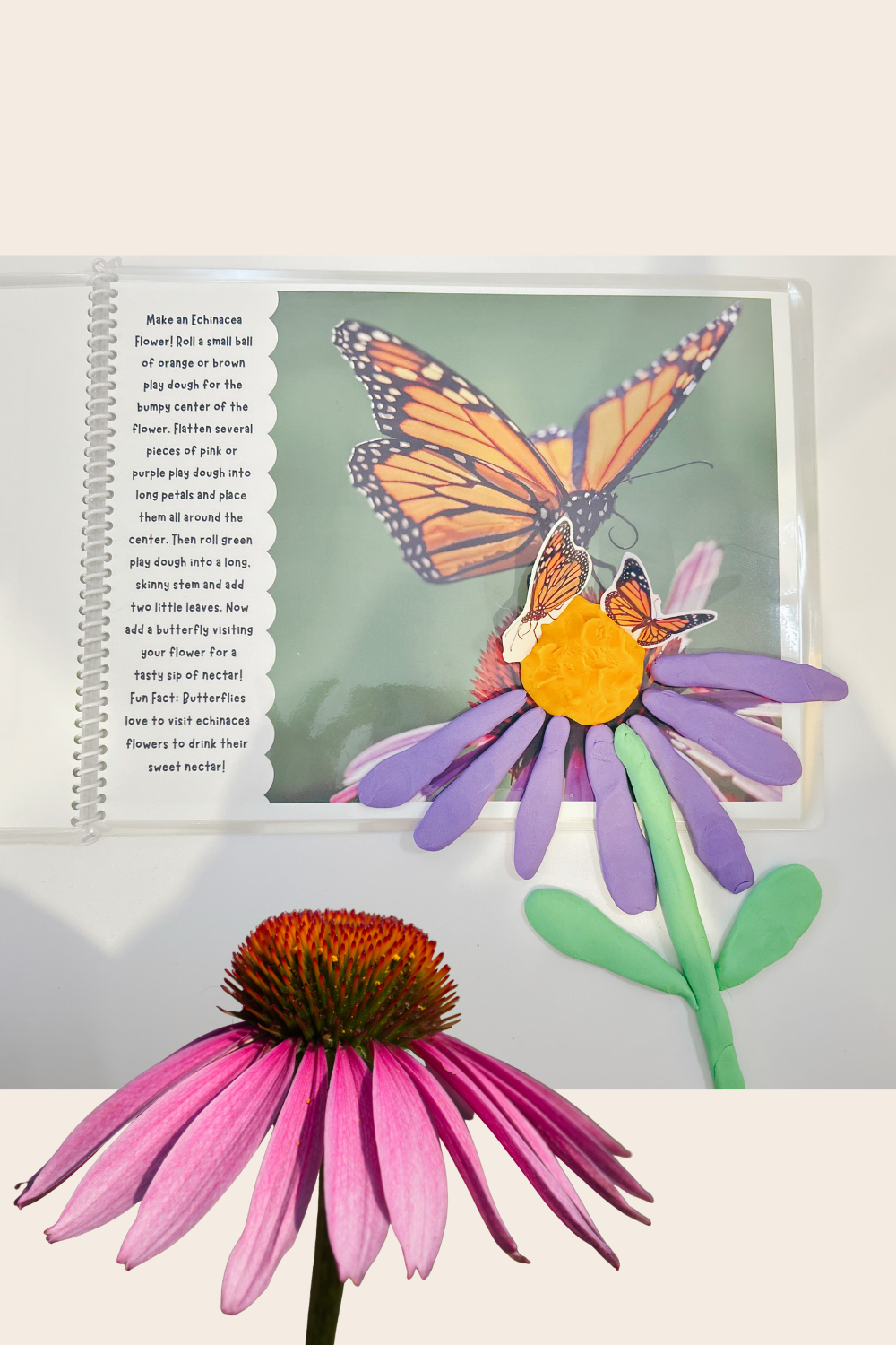 Butterfly Life Cycle Play Dough Book | Printable Hands-On Learning Activity