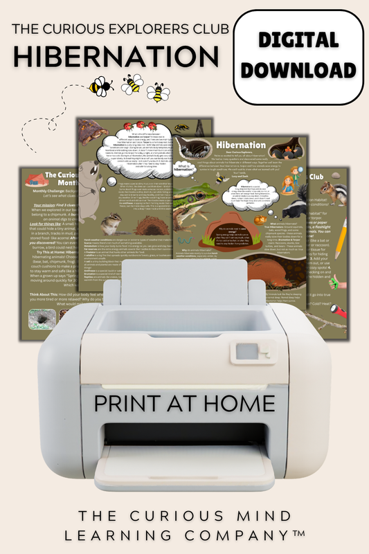 Hibernation Letter | Digital Download