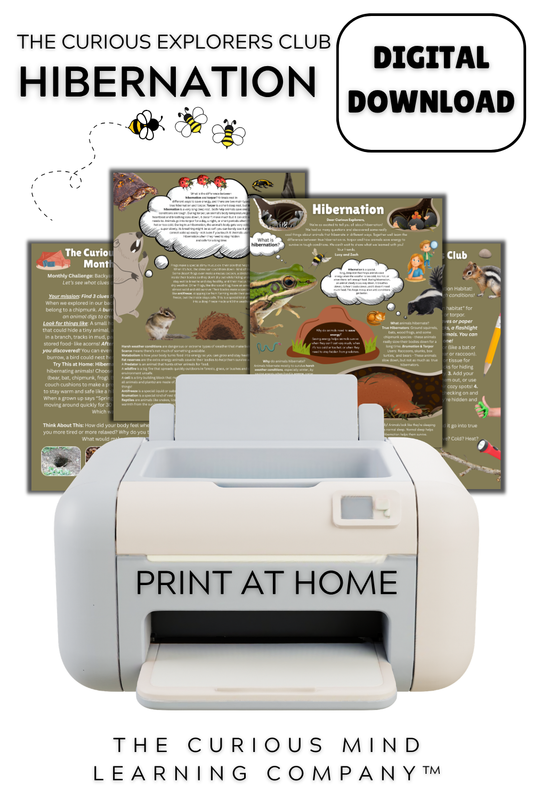 Hibernation Letter | Digital Download