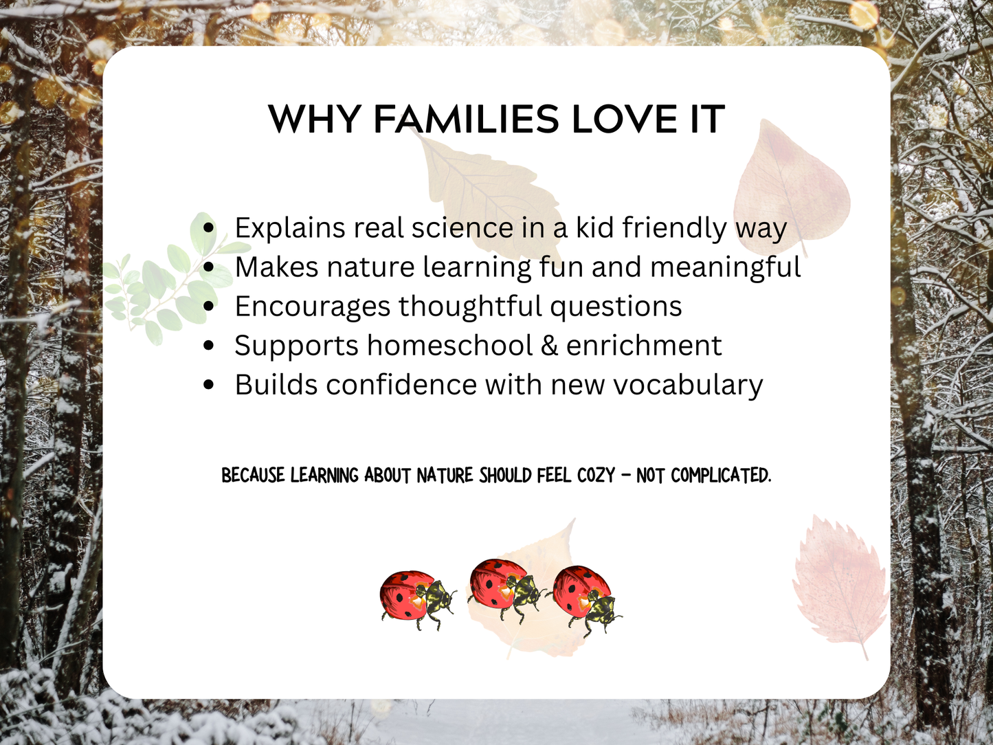 Hibernation Letter | Digital Download