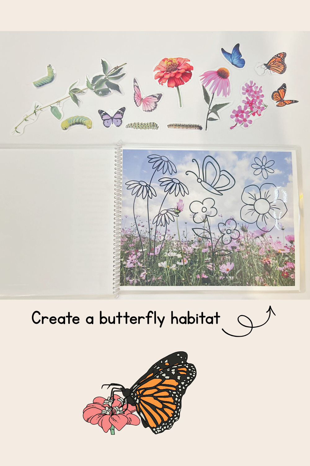 Butterfly Life Cycle Play Dough Book | Printable Hands-On Learning Activity
