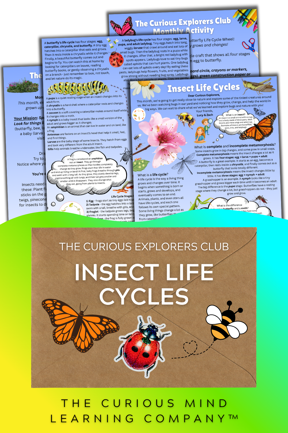 Insect Life Cycles Letter | The Curious Explorers Club | Physical Mail Edition