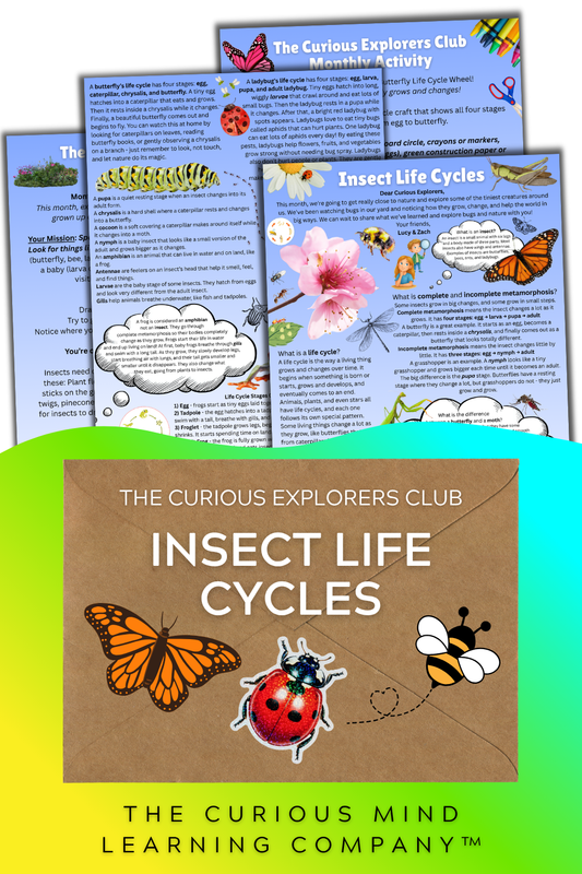 Insect Life Cycles Letter | The Curious Explorers Club | Physical Mail Edition