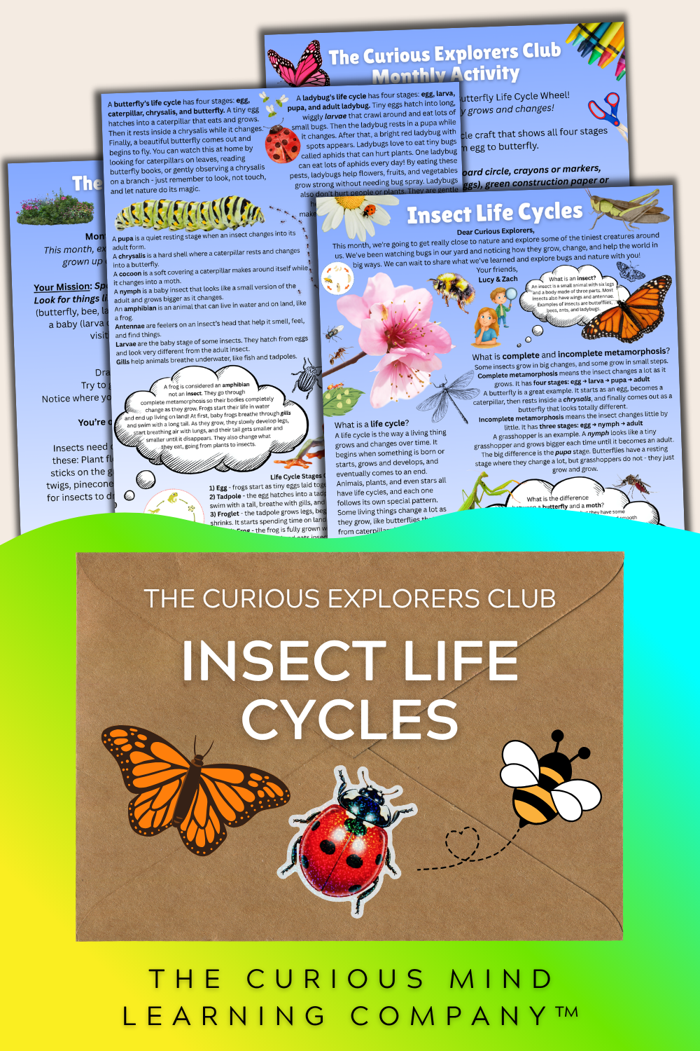 Insect Life Cycles Letter | The Curious Explorers Club | Physical Mail Edition