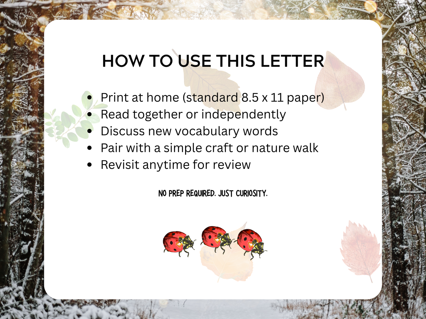 Hibernation Letter | Digital Download